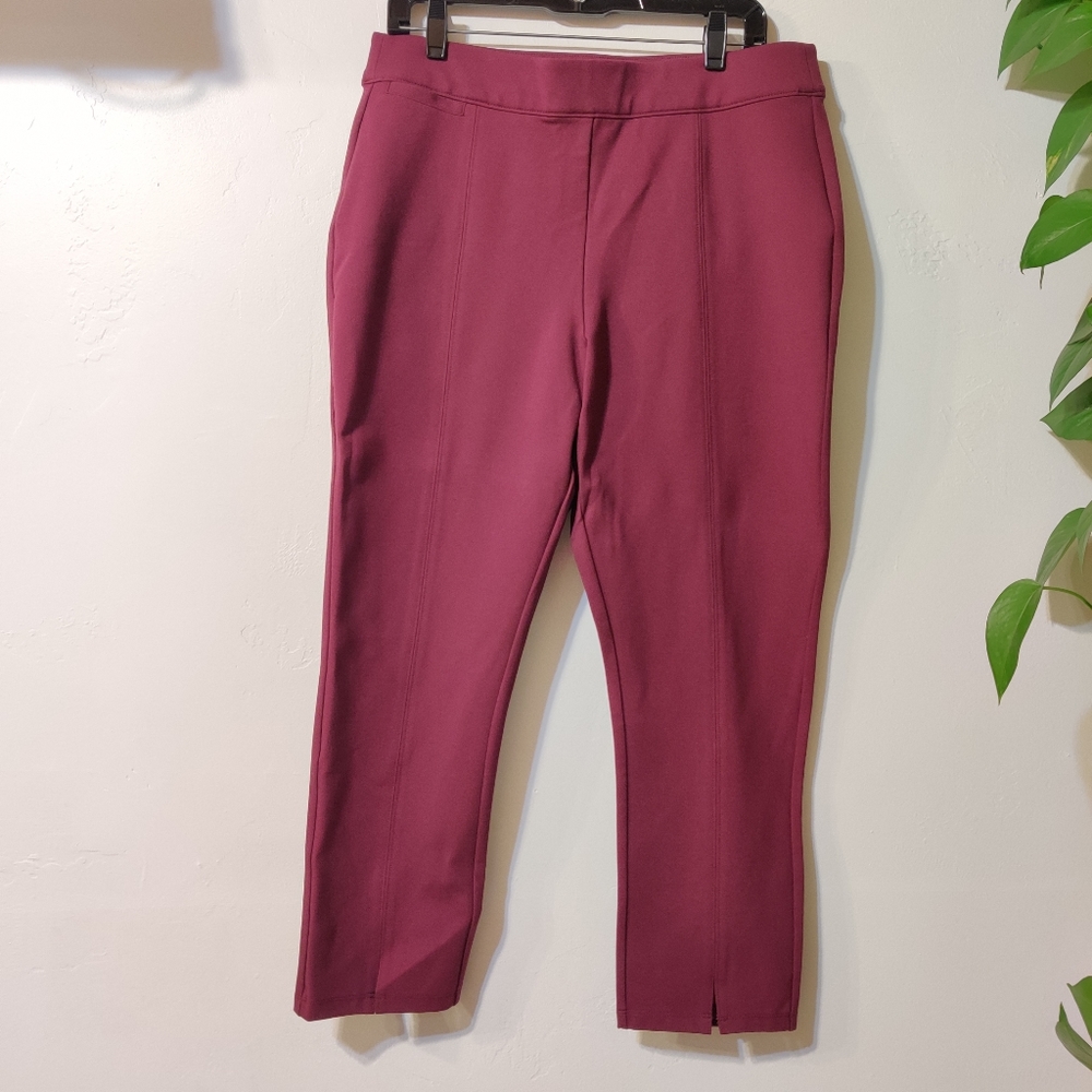 Soft Surroundings Burgundy skinny pull on pants PL